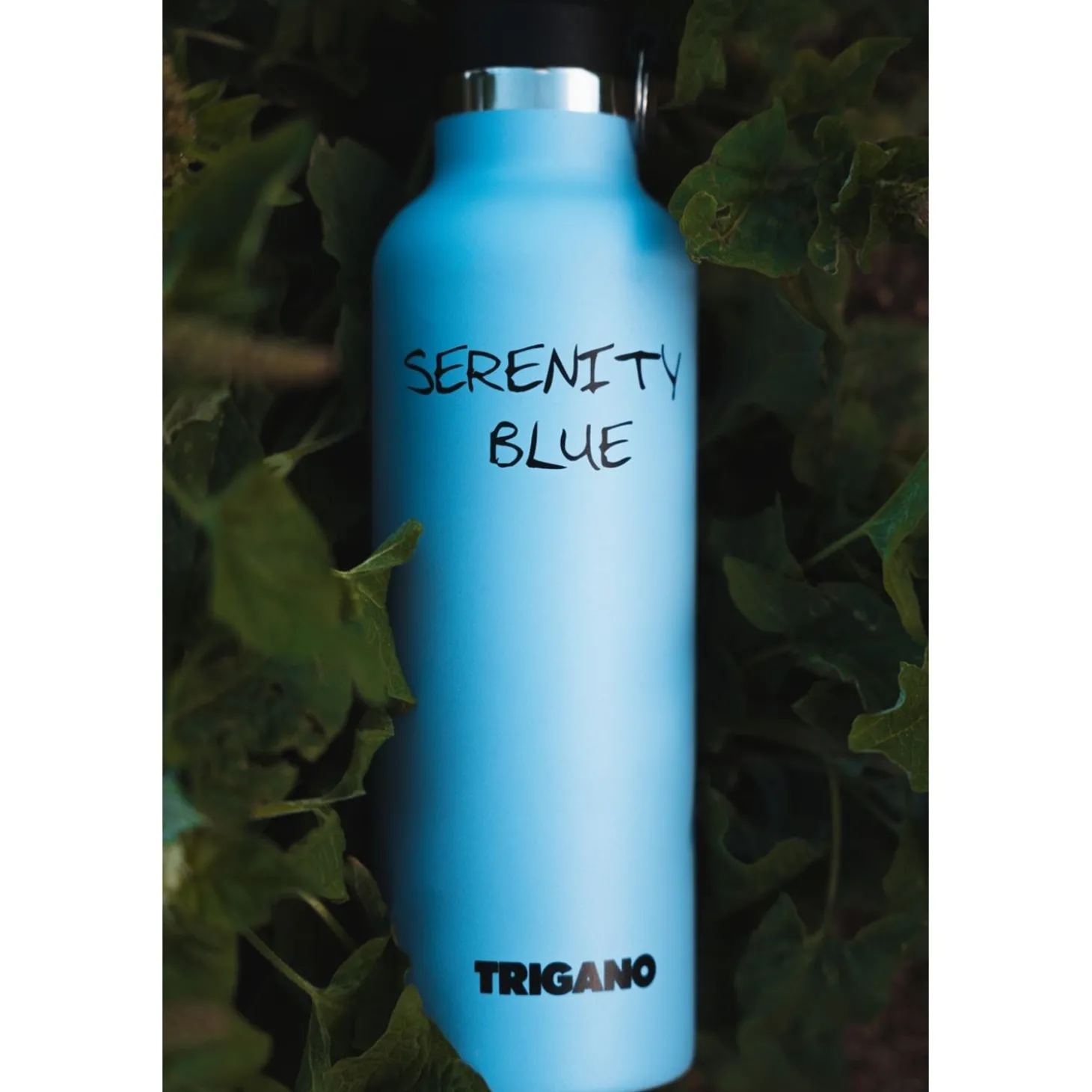 Trigano Gourde Inox Bleu 750 Ml< Cuisine